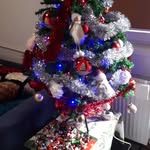 danjurca - @danjurca01092016 - Instagram