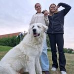Dan Justesen - @1603_dan - Instagram