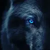 Dany🫡 - @danielkadar - TikTok
