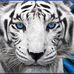 Dan Kader - Facebook