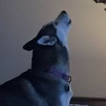 Dan Kadunce - @dankadunce - Instagram