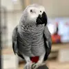 danka.le - @danka.le - TikTok