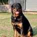 Dan Kalina - Facebook