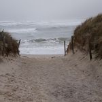 Dan Kalis - @kalis.dan - Instagram
