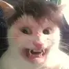 Dan Kaminski - @dan.kaminski82 - TikTok