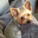 Dan Kanivas - @dantriplesummit - Instagram