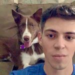 Dan Karcher - @dankarcher - Instagram