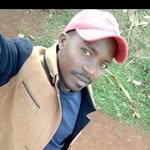 Dan Karimi - @dan.karimi.92 - Instagram