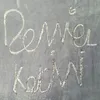 Daniel Karimi - @danielkarimi1 - TikTok