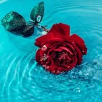 Dankari Mistri - @dankarimistri - Instagram