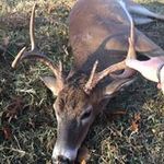 Dan Karnes - @daniel_karnes - Instagram
