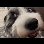 Dan Karp - @dan.karp - Instagram
