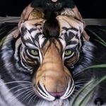 Dan Kasper - @dankasper308 - Instagram