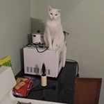 Dan Kasper - @kasper.dan - Instagram
