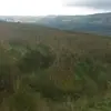 dan Kavanagh - @dankavanagh120 - TikTok