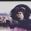 Daniel Kenney - @dan_kenney - TikTok
