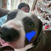 dankenney67 - @dankenney67 - TikTok