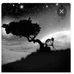 Dan keys - Facebook