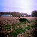 Danny Kidder - Facebook