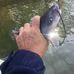 Dan Kidwell - Facebook