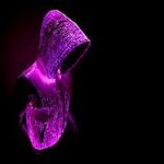 Daniel Kidwell - @dreadn0ught1 - Instagram