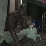 Dan Kigar - @dankigar - Instagram