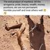 Dan Kikwai - Facebook