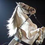 Daniélín Killoran - @killorandanielin - Instagram
