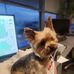Dan Kimberlin - Facebook