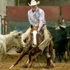 DK Livestock - @danielkimberlin - TikTok