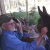 Dan Kimble745 - @dankimble745 - TikTok