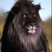 Dan Kimbrough - Facebook