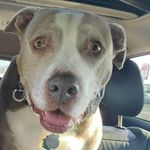Dan Kincaid - @dan.kincaid.58 - Instagram