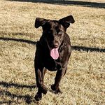 Daniel Kincaid - @dankincaid123 - Instagram