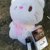 бутыль коньяка - @danikkinder - TikTok