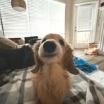 Danking - @danking0212 - Instagram