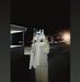 Dan Kis - Facebook