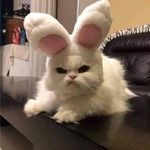 Даня Киселёв - @kiselev___danya - Instagram