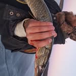 Dan Kitterman - @kittermandan - Instagram