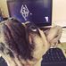 Dan Klar - Facebook