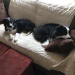 Dan Klees - @danklees - Instagram