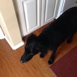 Dan Klem - @dan.klem.3 - Instagram