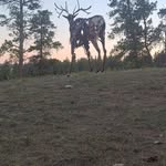 Dan Klennert - @exnihilo_irondan - Instagram