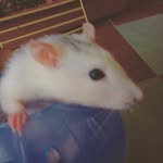 дан_клим - @dan_klim8 - Instagram