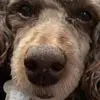 Daniel Klimenko - @dan.klim - TikTok