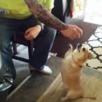 Dan Klingensmith - @dan.klingensmith.90 - Instagram