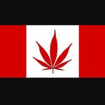 Danklink - @_.m.e.m.e._.c.e.n.t.r.a.l._ - Instagram