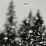 Birk Danklint - @danklintbirk - Instagram