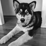 Dan Kluger - @klugerrdan - Instagram