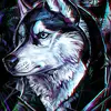 dany_kluger - @user9840078906275 - TikTok